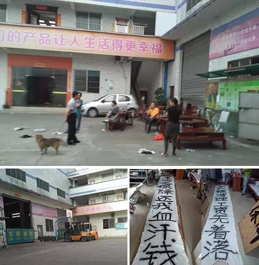 1.webp.jpg 1.webp.jpg